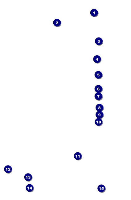 Wizard of Oz Drink Ticket Front Field Markers