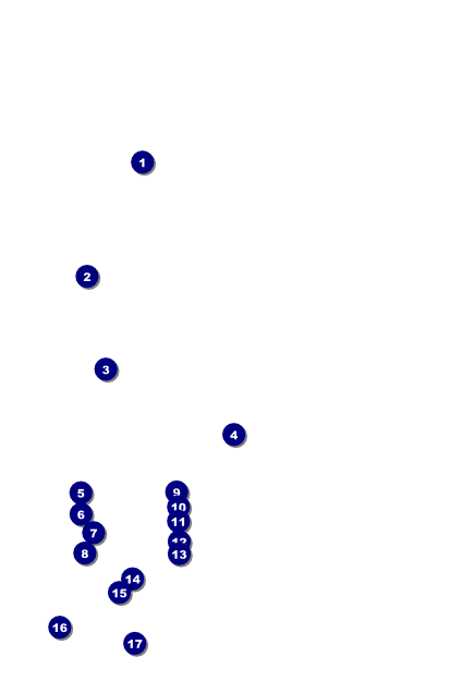 Steak & Beer Poster Front Field Markers