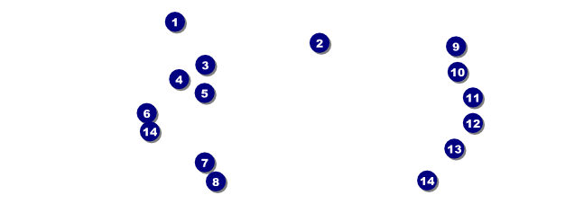 Fun Run Raffle Ticket Front Field Markers