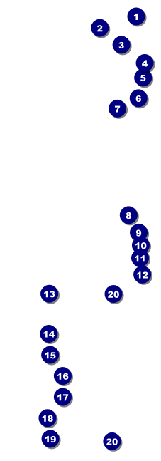 Diabetes Raffle Ticket Front Field Markers