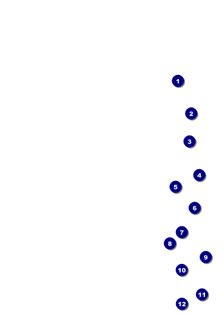 Spanish Festival Postcard Front Field Markers
