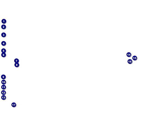 Postcard Flyer Front Field Markers