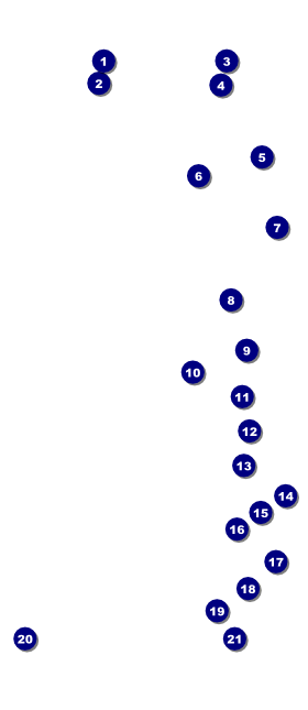 Car Racing VIP Event Badge Large Front Field Markers