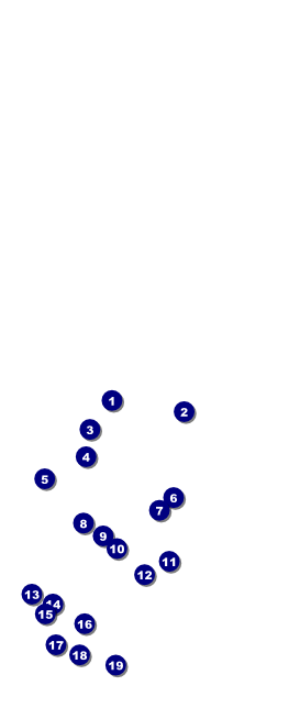 Purple Ribbon Table Tent Front Field Markers