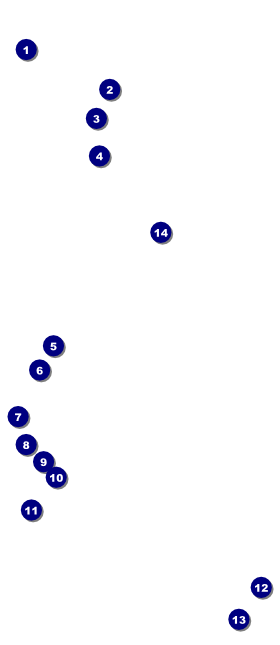 Fourth of July  Freedom VIP Event Badge Large Front Field Markers