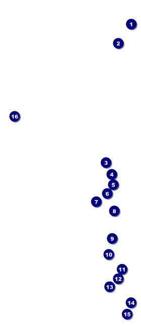 Dance Festival VIP Event Badge Large Front Field Markers