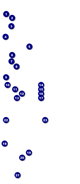 Galaxy Hip Hop Black and White VIP Event Badge Large Front Field Markers