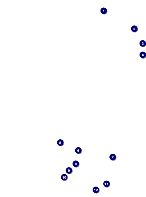 Reggae Lion Flyer Front Field Markers