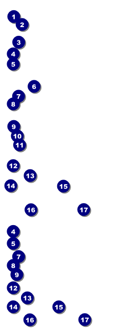 Christmas Tree 001 Reserved Event Ticket Front Field Markers