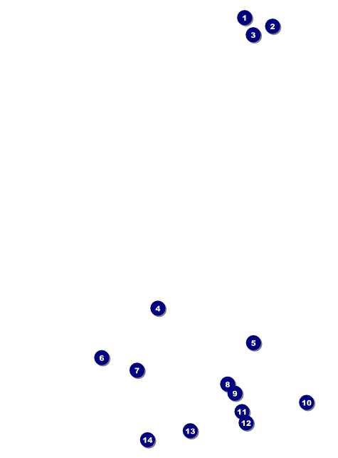 Chinese New Year Monkey Flyer Front Field Markers