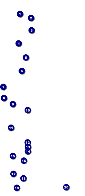 All Purpose Building and Streetlights Black and White VIP Pass Front Field Markers