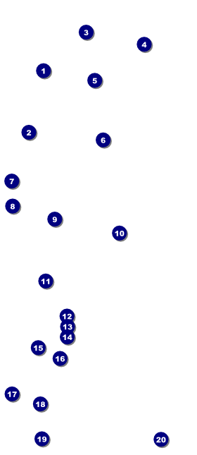All Purpose Circles Black and White VIP Pass Front Field Markers