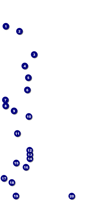 All Purpose Chalkboard Black and White VIP Pass Front Field Markers