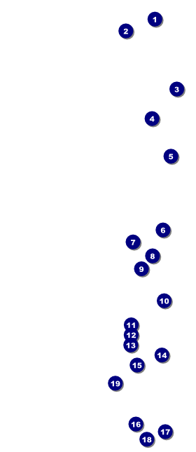 All Purpose Triangles 2 Black and White VIP Pass Front Field Markers