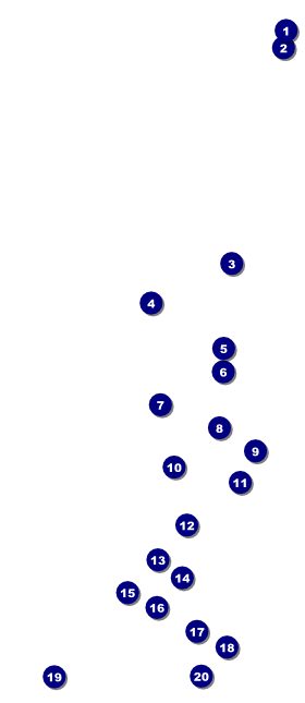 Chinese New Year Rooster VIP Pass Front Field Markers