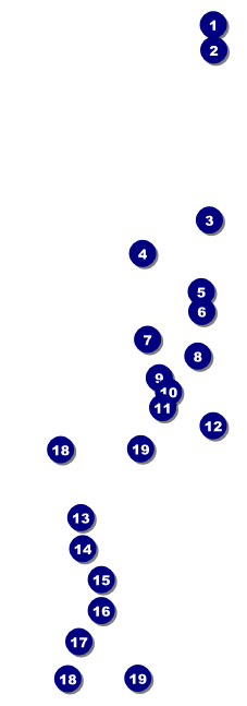 Chinese New Year Rooster Raffle Ticket Front Field Markers