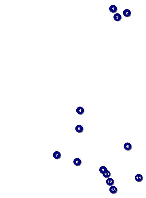 Chinese New Year Pig Invitation Front Field Markers