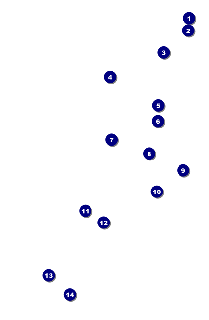 Chinese New Year Ox Drink Ticket Front Field Markers
