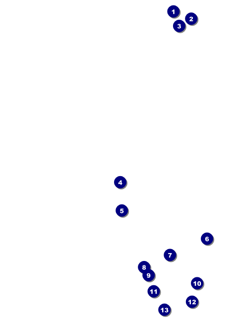 Chinese New Year Tiger Invitation Front Field Markers