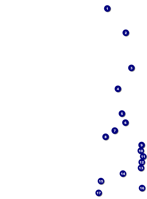 Black Frida Flyer Front Field Markers