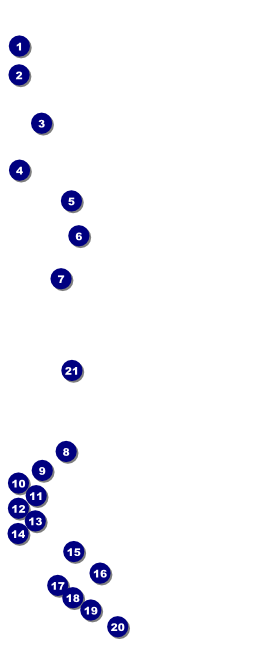 Silver Glitter VIP Pass Front Field Markers