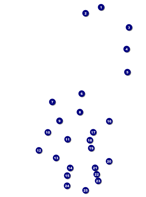 Dart Tournament Flyer Front Field Markers