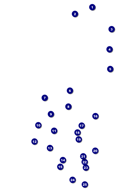 Dart Tournament Poster Front Field Markers