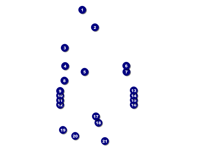 Bike Festival Invitation Front Field Markers
