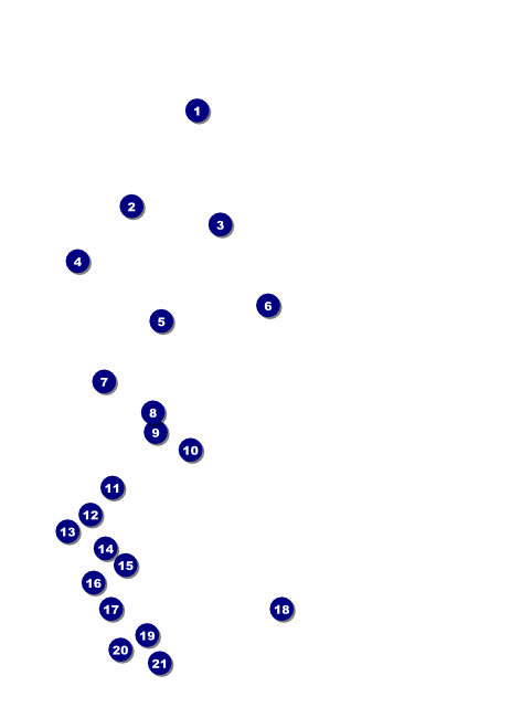 Year Parchment Paper Flyer Front Field Markers