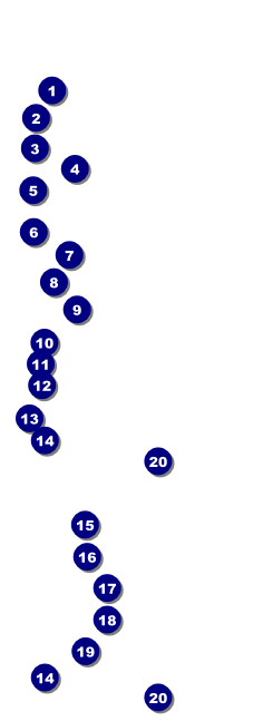 Red, White, and Blue Stars Raffle Ticket Front Field Markers