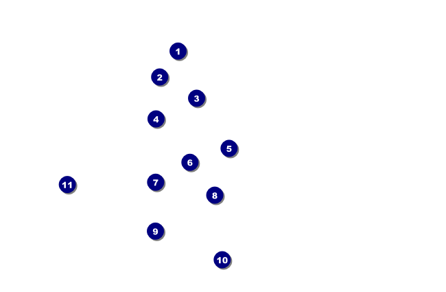 St. Patrick's Day VIP Event Badge Small Front Field Markers