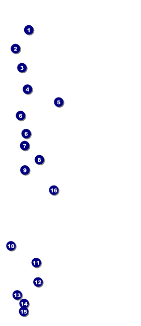 Mixed Martial Arts (Green) VIP Event Badge Large (REPLACED) Front Field Markers