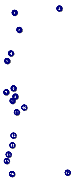 Bingo Bonanza Extravaganza VIP Pass Front Field Markers