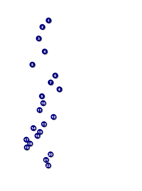 Choral Flyer Front Field Markers