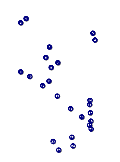 Alt.Chaos Flyer Front Field Markers