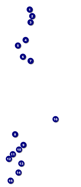 Bass Fishing Tournament VIP Pass Front Field Markers