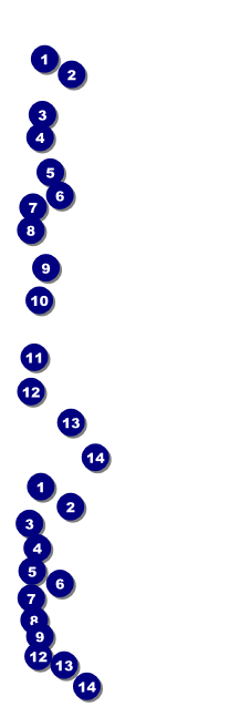 Military Ball - US Flags Event Ticket Front Field Markers