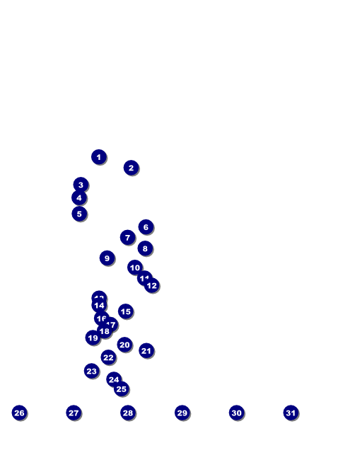 St. Louis Flyer Front Field Markers