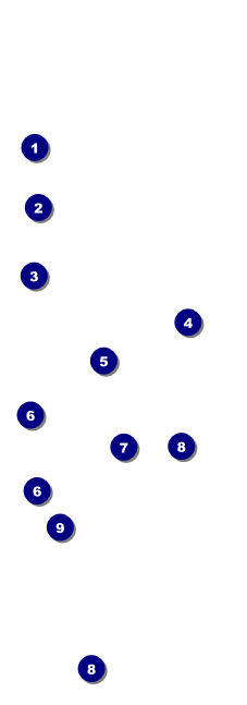 Fireworks QR Event Ticket Front Field Markers