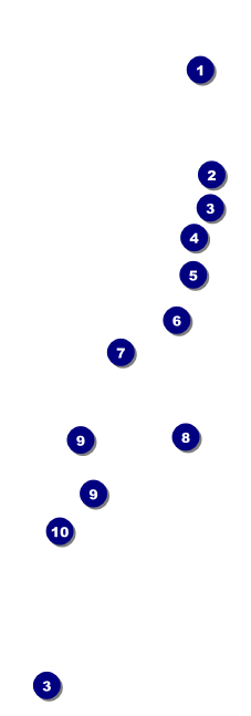 Fourth of July QR Event Ticket Front Field Markers