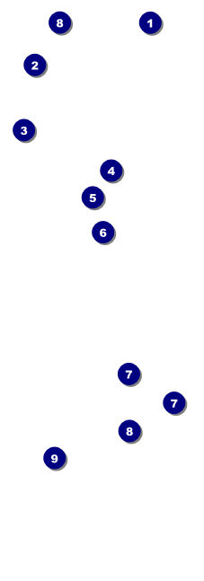 Martial Art QR Event Ticket Front Field Markers