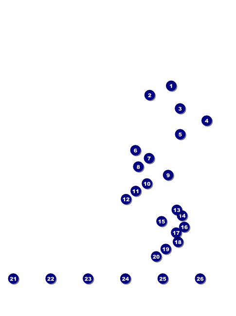 Nashville Flyer (Black and White) Front Field Markers