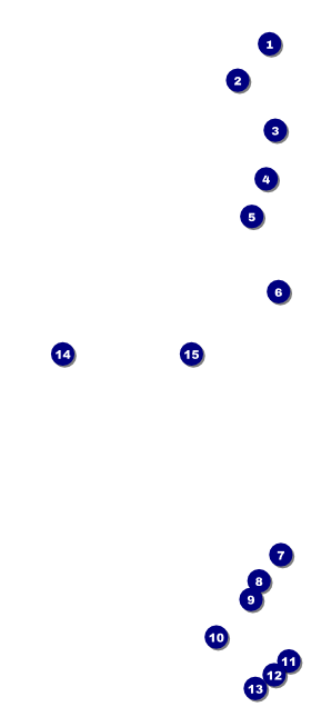 Acoustic Strings VIP Event Badge Large Front Field Markers