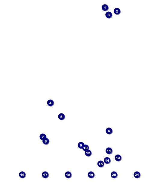 Chinese New Year Flower Snake Logo Flyer Front Field Markers