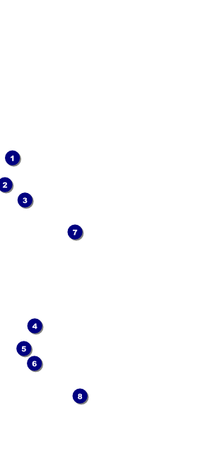 All Purpose Night Skyline VIP Event Badge Large Front Field Markers