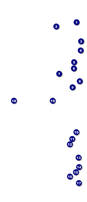 Black Tie Gala 2 VIP Event Badge Large Front Field Markers