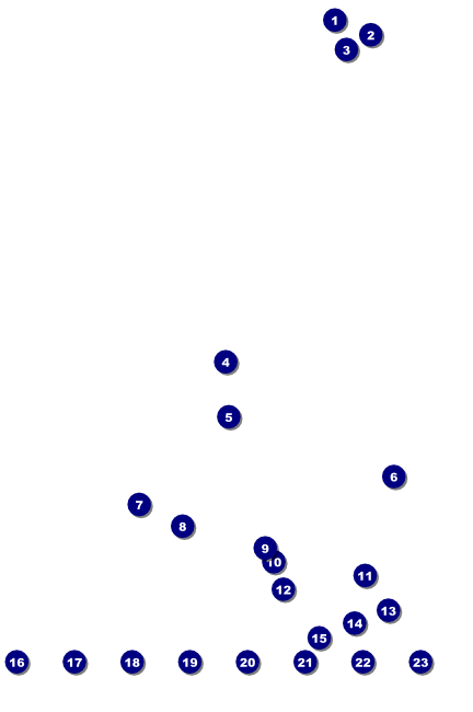 Chinese New Year Rat Poster Front Field Markers