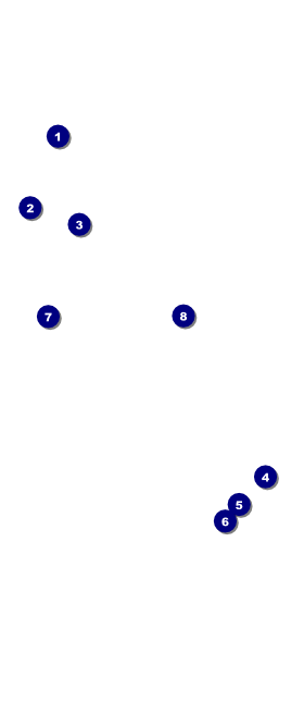 Conference Series: All Purpose Lines VIP Event Badge Large Front Field Markers