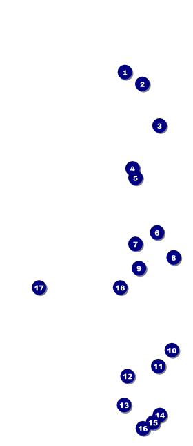 Diamonds Black 2 VIP Event Badge Large Front Field Markers