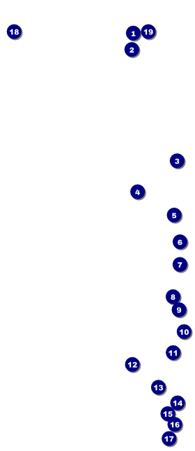 Football Blue VIP Event Badge Large Front Field Markers